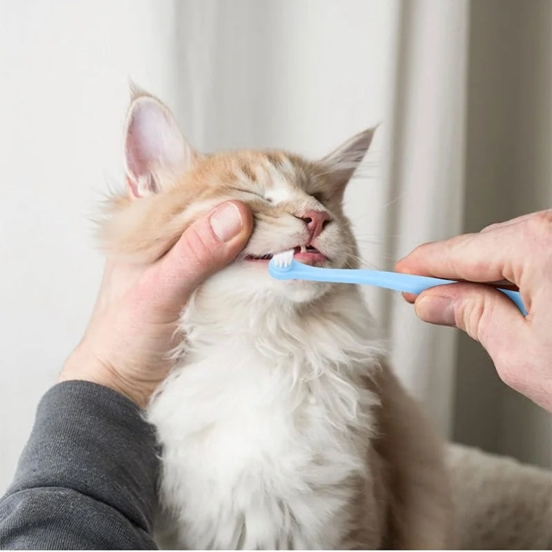 Dog Toothbrush Dog Teeth Cleaning