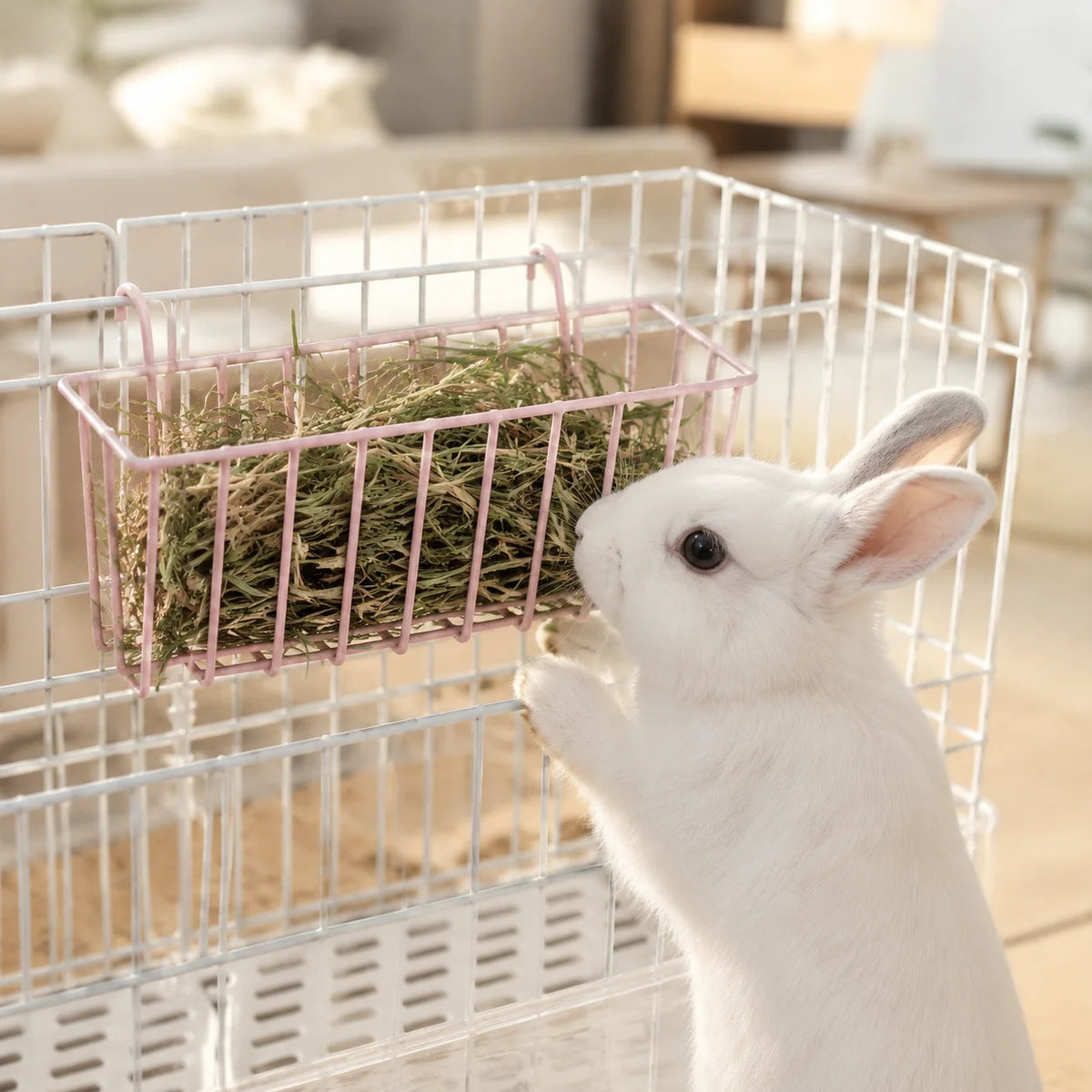 Rabbit Bed Thick and Soft