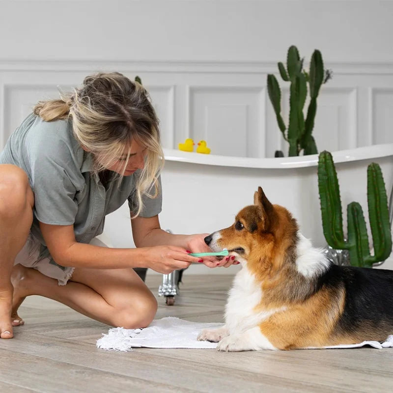 Dog Toothbrush Dog Teeth Cleaning
